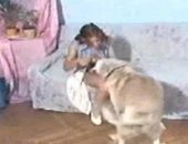 Adolescente caiu na net dando ao animal